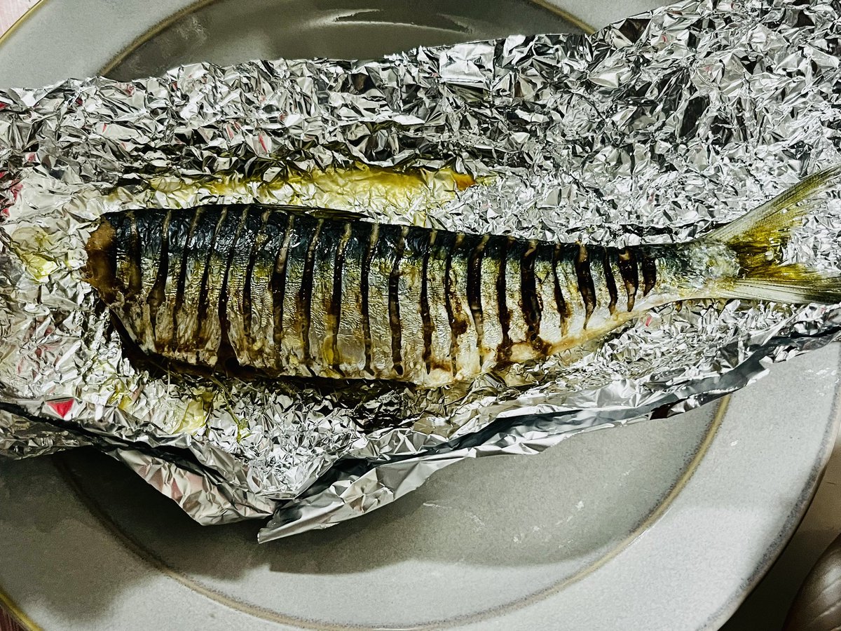 BlogWaral's tweet image. 68円で売られていたママカリ🐟

サッパとどこか違うなと思い調べたら、同じニシン科の「カタボシイワシ」でした！
珍しい魚を安く食べられて大満足です😋  

非常に美味しい魚なので、もし見かけたらぜひ食べてみてください✨  
長い小骨が多い点に要注意です…！

zukan-bouz.com/sp/article/1469

#魚食