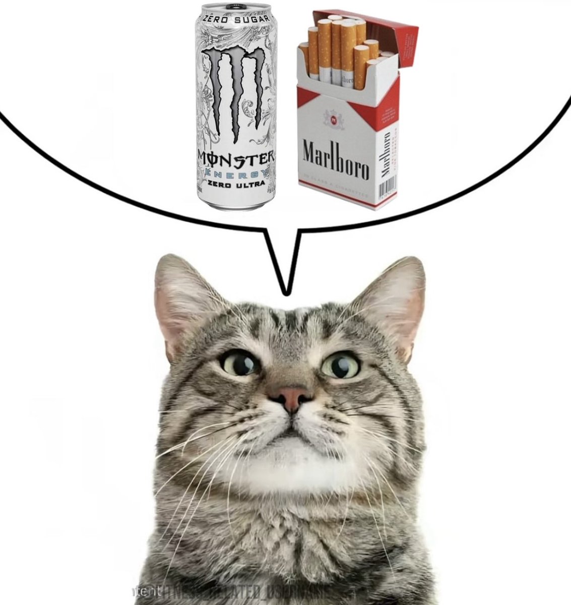 Cigarette Dystopia (@cigsmake) on Twitter photo 