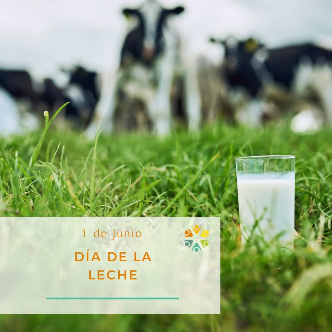Hoy celebramos al alimento esencial que nos reúne en esta comunidad y nos acompaña en cada etapa de la vida 🥛👏🏻
 
¡Un fuerte brindis (con leche) por todo el trabajo que hay detrás de cada vaso para llevar lo mejor de la naturaleza a la mesa! 🙌🏻

#1DeJunio #DíaDeLaLeche