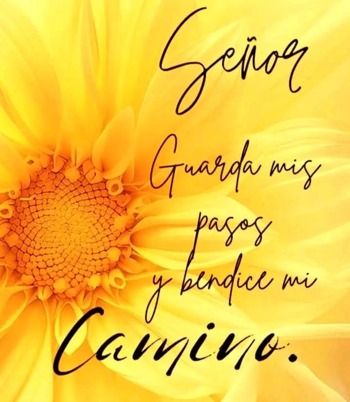 <a href="/mauromonserrate/">mauricio escobar m</a>