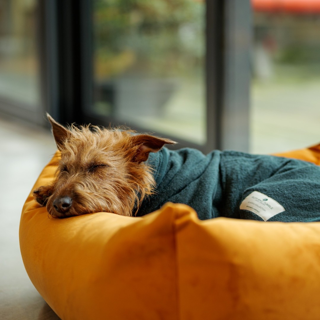 Who's ready for a deep sleep after a long week? 😴

👉 Supports and protects sore joints
👉 Bolster sides for security comfort and support.
👉 Fully washable canvas cover for practical living.
👉 Waterproof inner lining to protect foam

#ruffandtumble