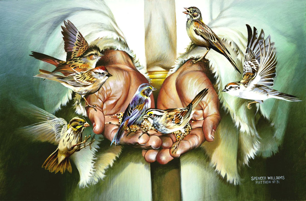 Today is Sunday -
Say a prayer for peace -