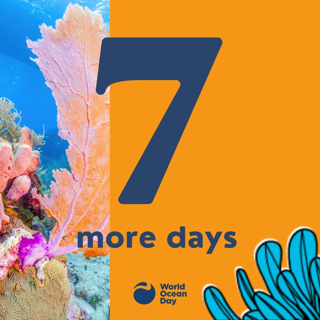 One week to go! What are you most excited about for World Ocean Day? Is it your event, your impact, or connecting with others who love the ocean as much as you do?