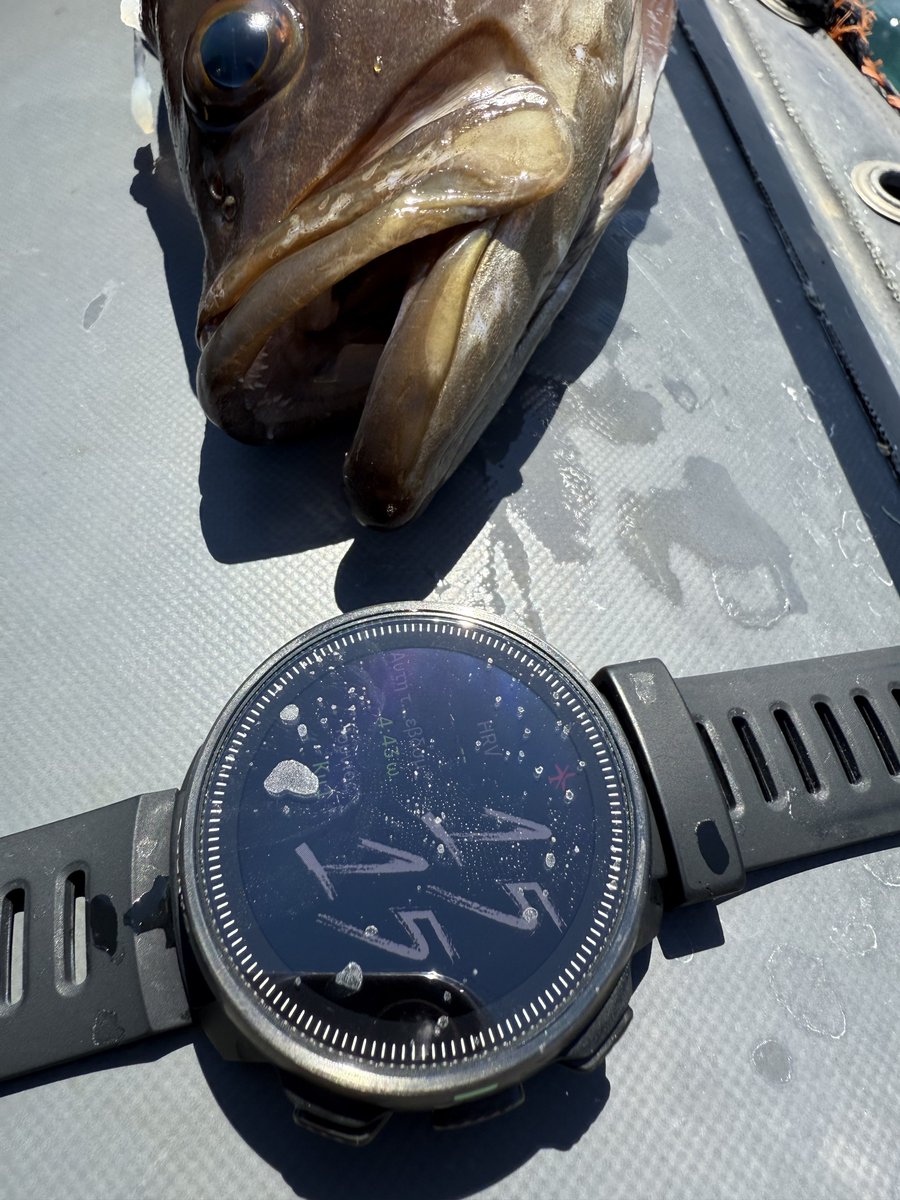 Καλό Μήνα! Καλό Καλοκαίρι