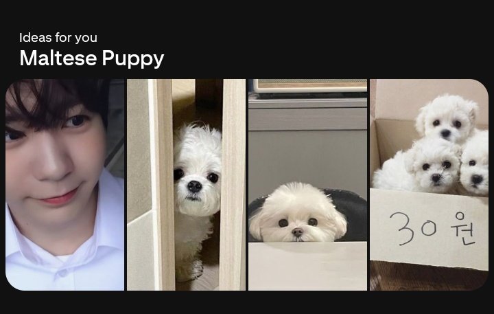 𖦹 (@ryoaresocute) on Twitter photo 