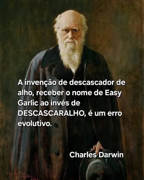 Bom diaaaaa!!!!!🌹