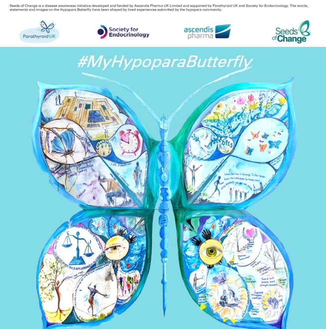 It’s #WorldHypoparaDay! There are still many challenges and unmet needs but we are feeling much more hopeful of better treatments, care, understanding and improved lives in the future. I hope change will continue to progress and be supported . #myhypoparabutterfly #seedsofchange