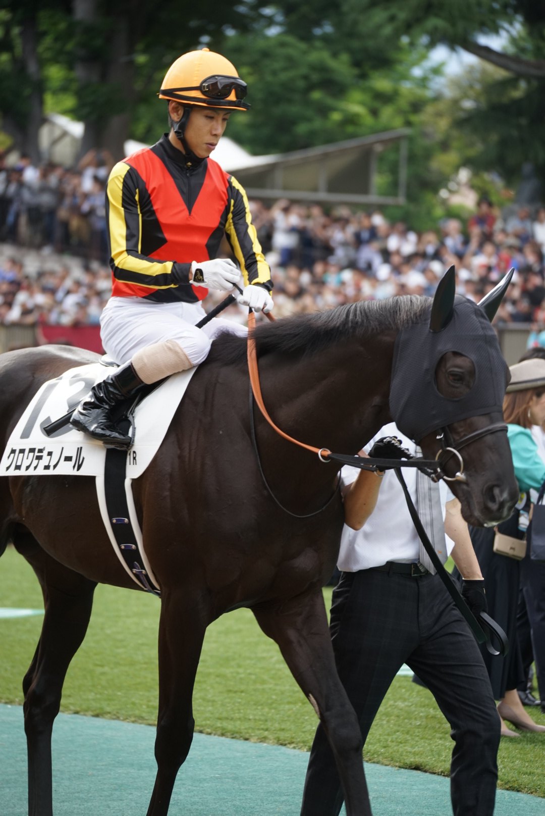 【競馬】クロワデュノール（日本ダービー）ミニゼッケン／北村友一／JRA東京競馬場 競馬】クロワデュノール（日本ダービー）ミニゼッケン／北村友一