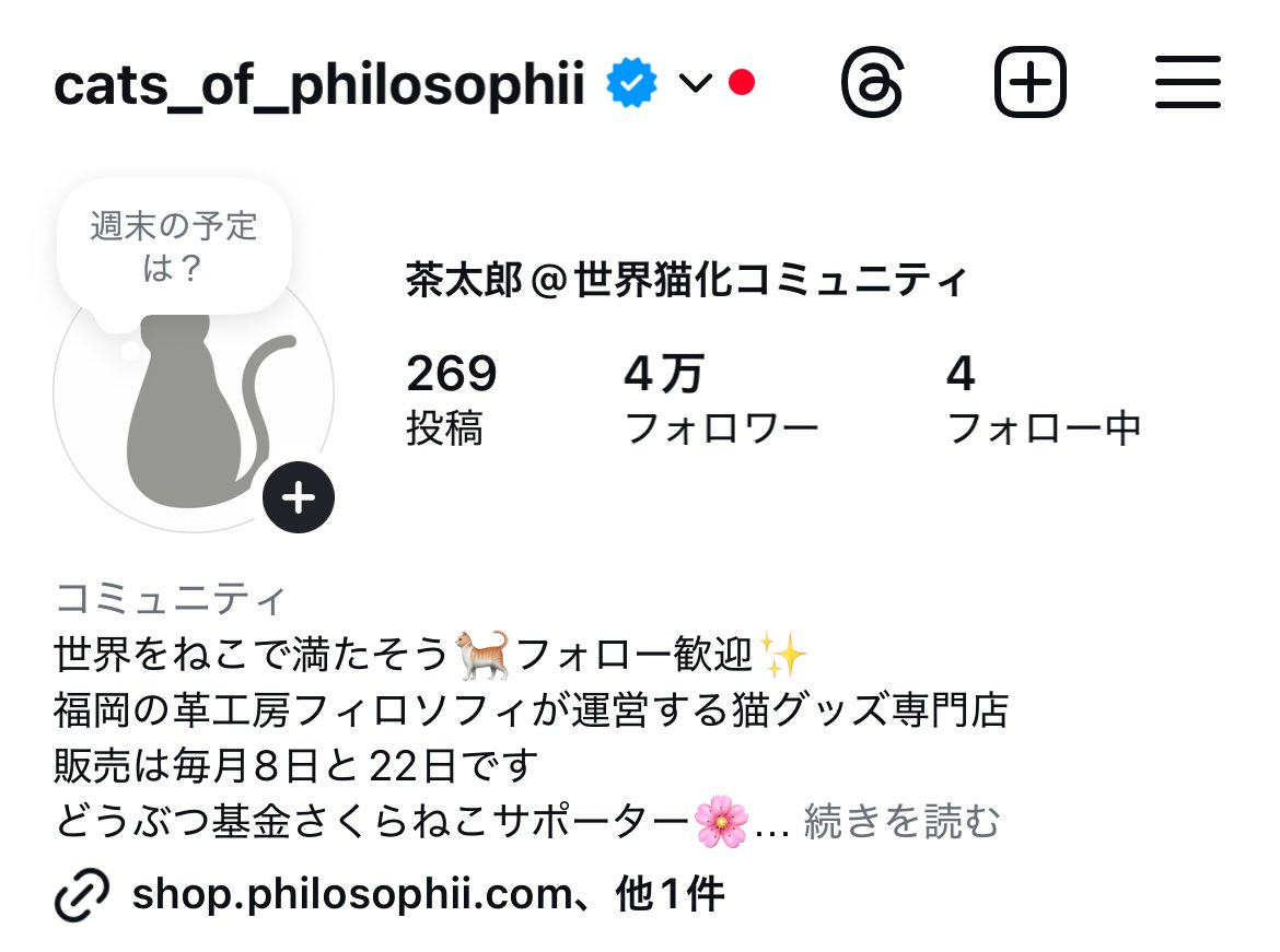 cats_of_'s tweet photo. アカウント開設から丸1年。にゃんすたぐらむのフォロワーさん4万人になりました😸インスタでプレゼント企画を考えたいと思います！まさかこんなに伸びるなんて猫すごい！ https://t.co/JPBFk6xMos