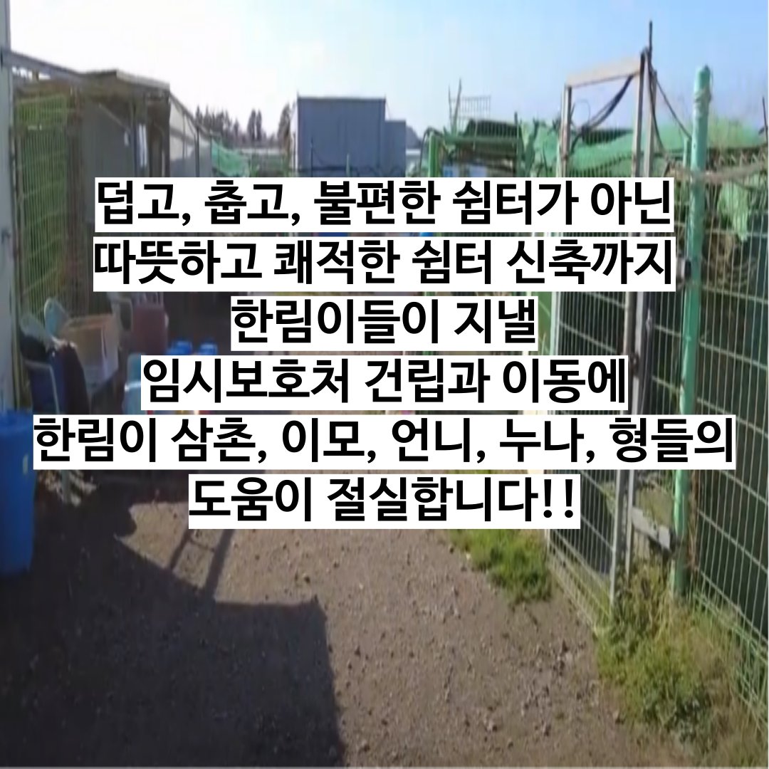 한림이들 임시보호처에 펜스가 필요해요!! 100여마리의 한림이들에게 필요한 견사는 최소 80개.

임시 보호처 및 이동에만 4,000만 원이 필요합니다.

간곡히 부탁드려요. 한림이들이 여러분의 사랑을 느낄 수 있게 도와주세요.

농협 355-0078-4849-93 사단법인 제제프렌즈

blog.naver.com/jejefriendscom…