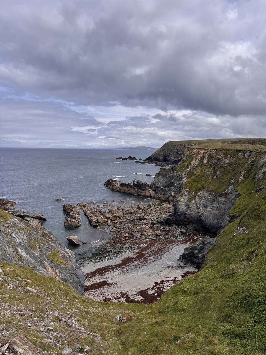 Peter J Hollely-Robins OStJ BEM tweet media