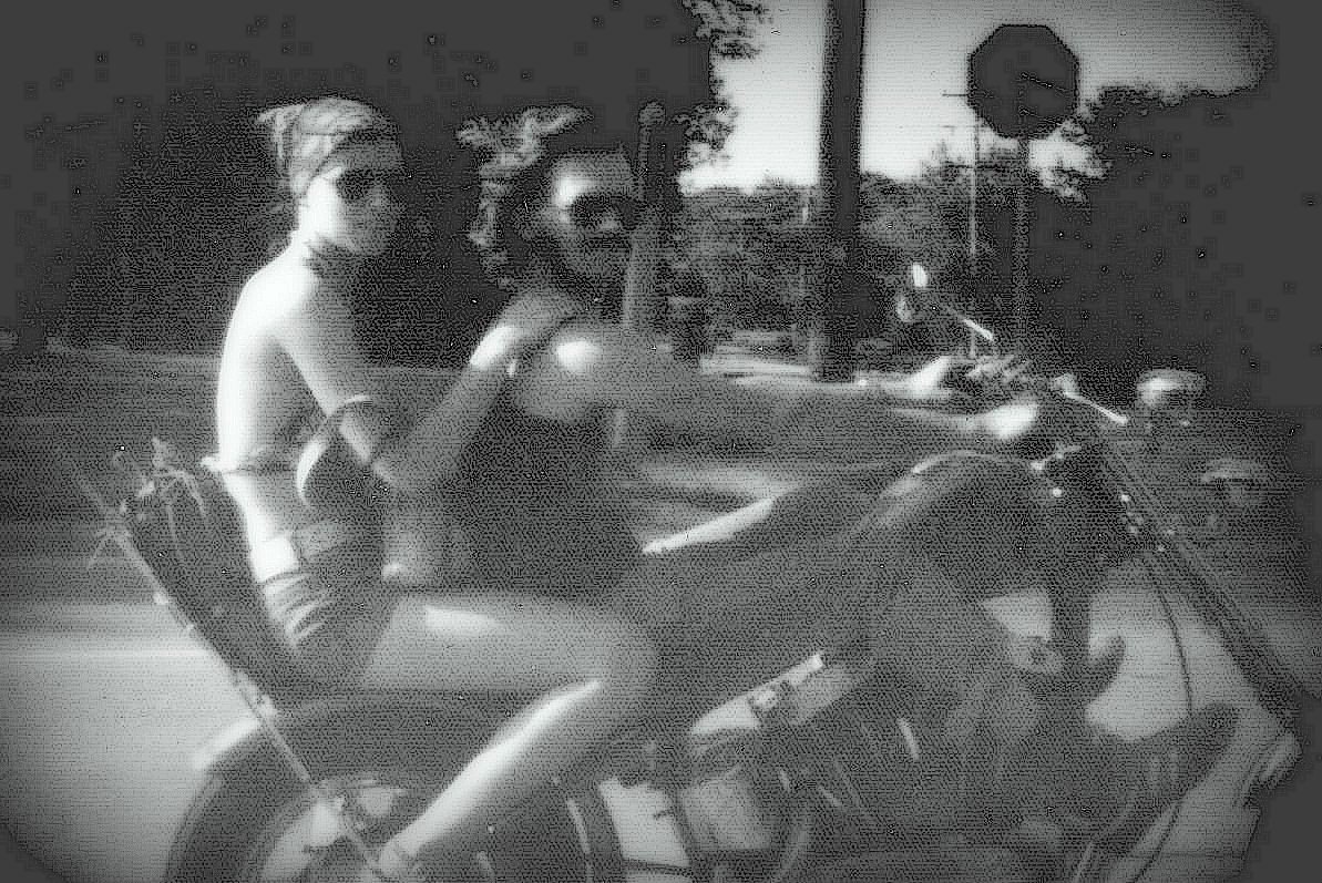 Susan Oestmann aka Wulfrun4821 🐺 tweet media