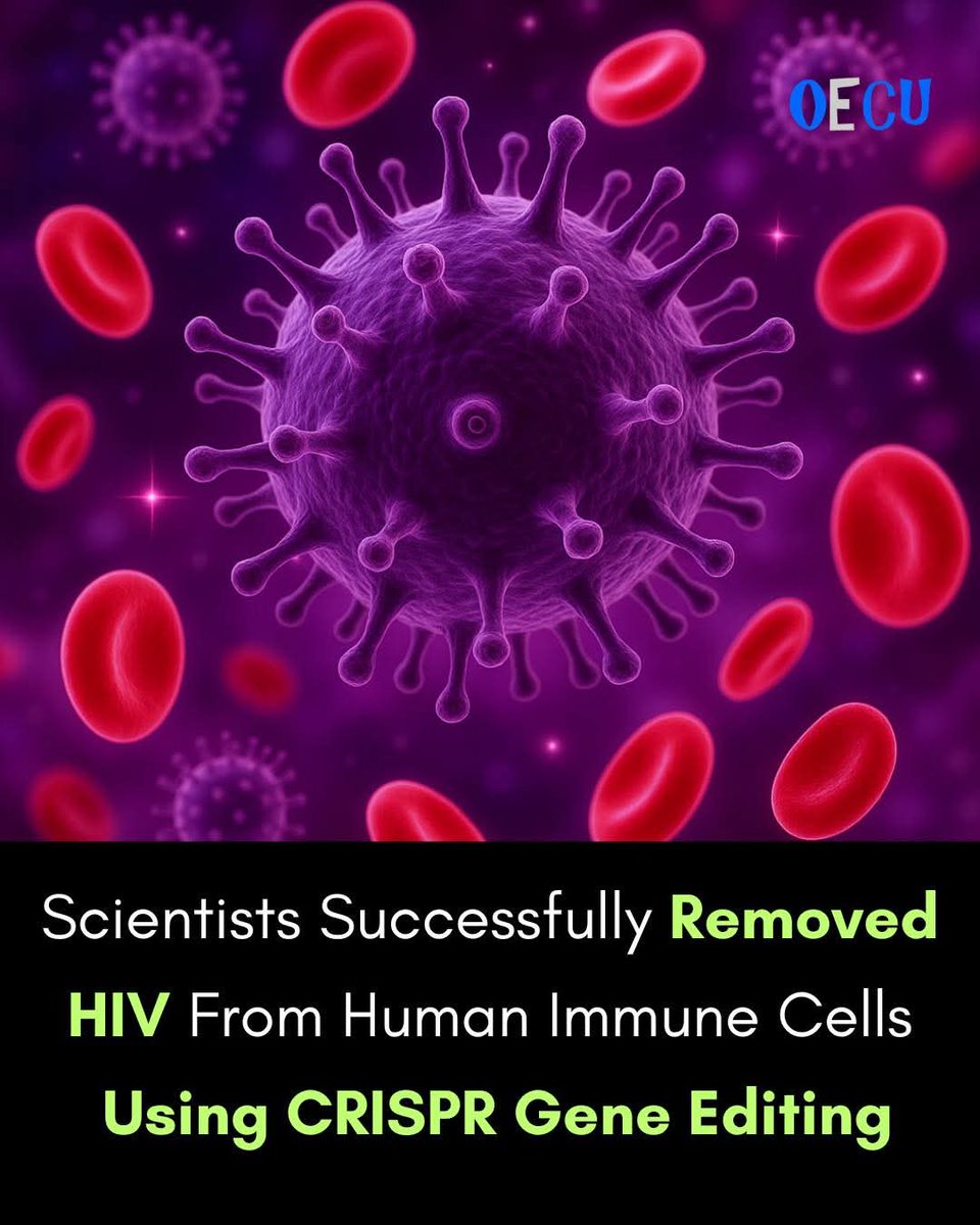 🚨🚨🚨HIV/AIDS cure finally discovered 

✂️ Scientists just used CRISPR to erase HIV from human immune cells—permanently!

In a groundbreaking advance, researchers employed CRISPR/Cas9 gene editing to completely remove HIV-1 DNA from the T-cells of real patients. 

Unlike current