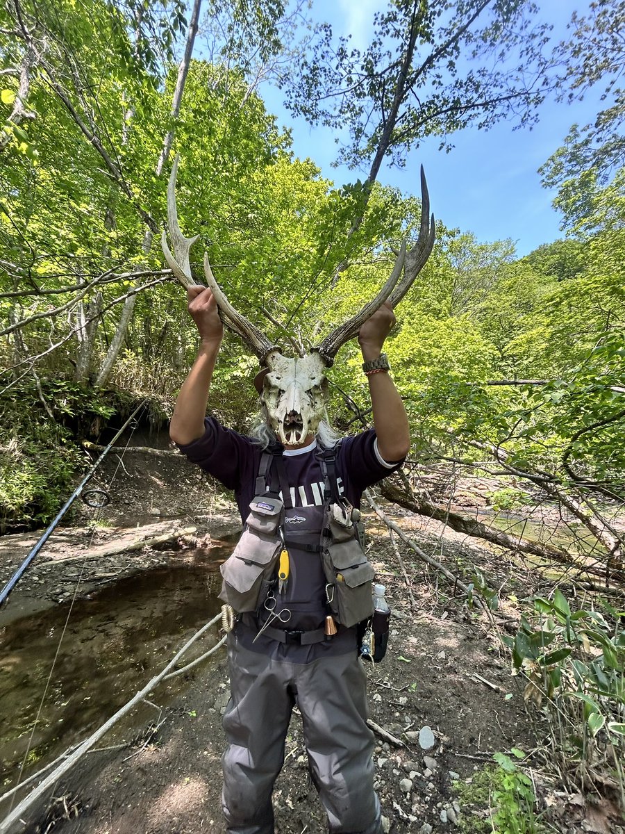 立派なの落ちてた
流石の北海道