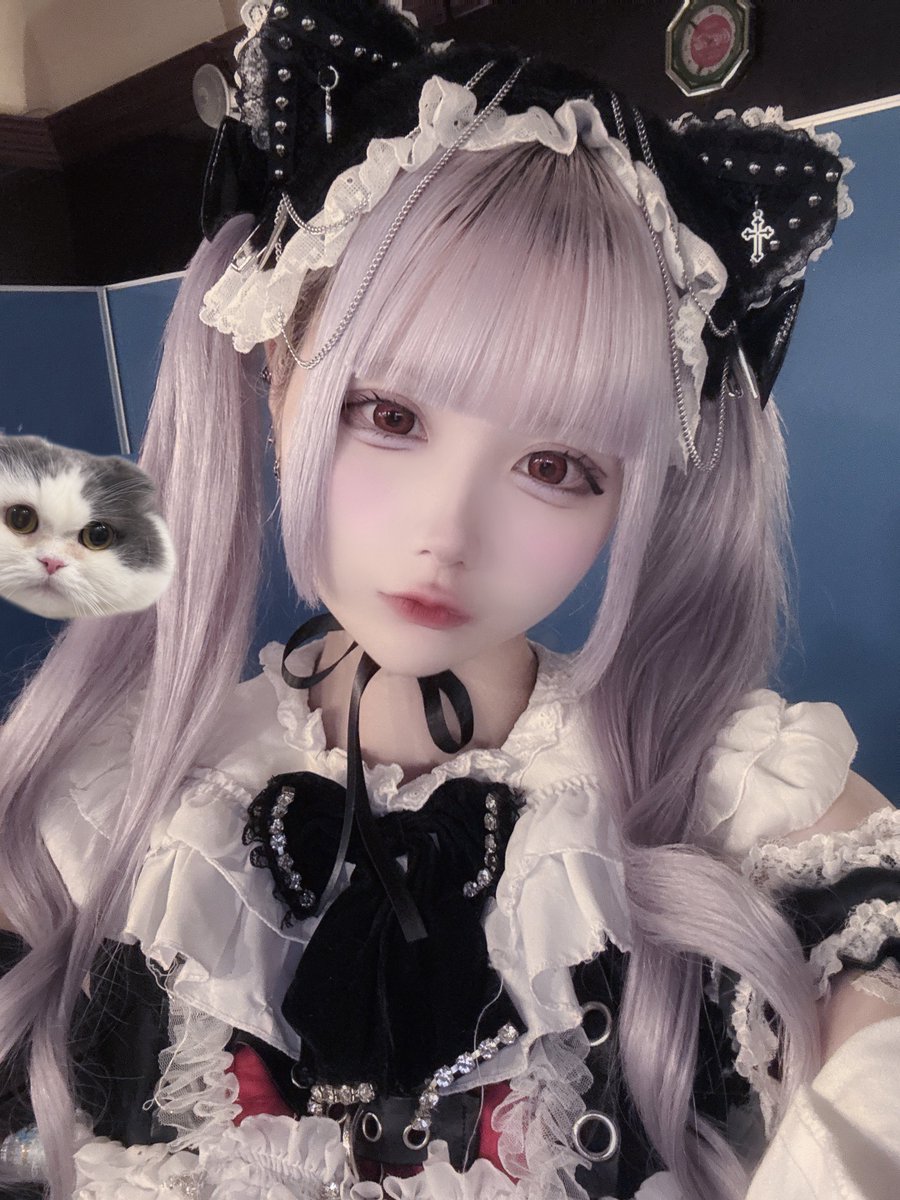 oicMIKO's tweet image. にゃーん