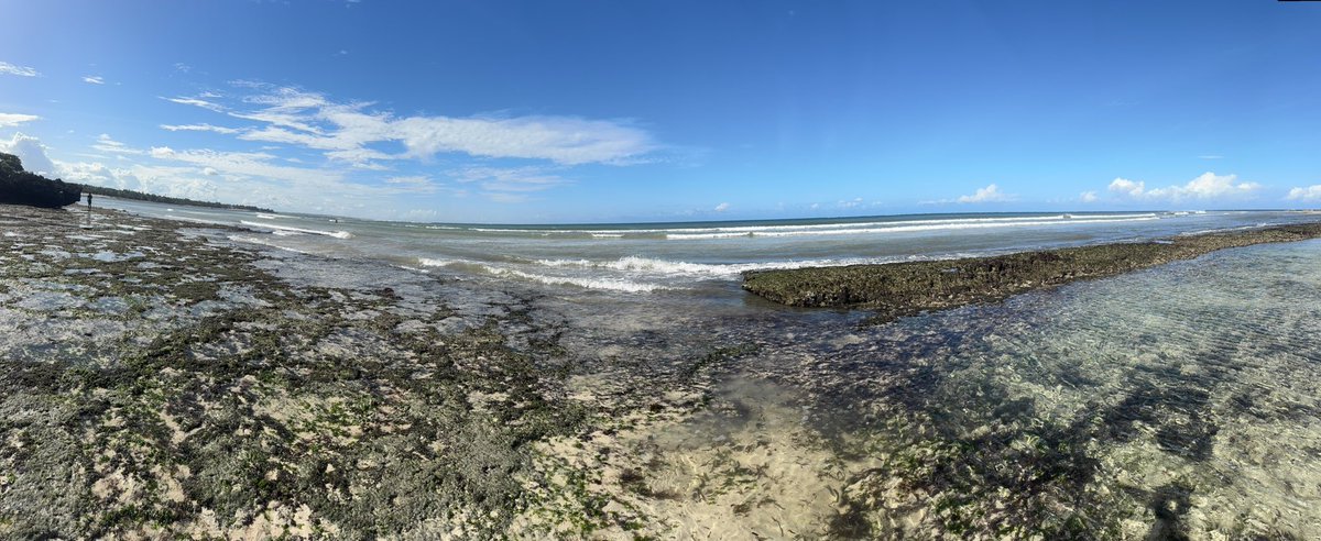 Flora Mutahi (@floramutahi) on Twitter photo We have such a beautiful country! Sometimes we just need to slow down and take it all in ‼️ #slowdown  #malindi vibes #sunnyafrica We have such a beautiful country! Sometimes we just need to slow down and take it all in ‼️ #slowdown  #malindi vibes #sunnyafrica