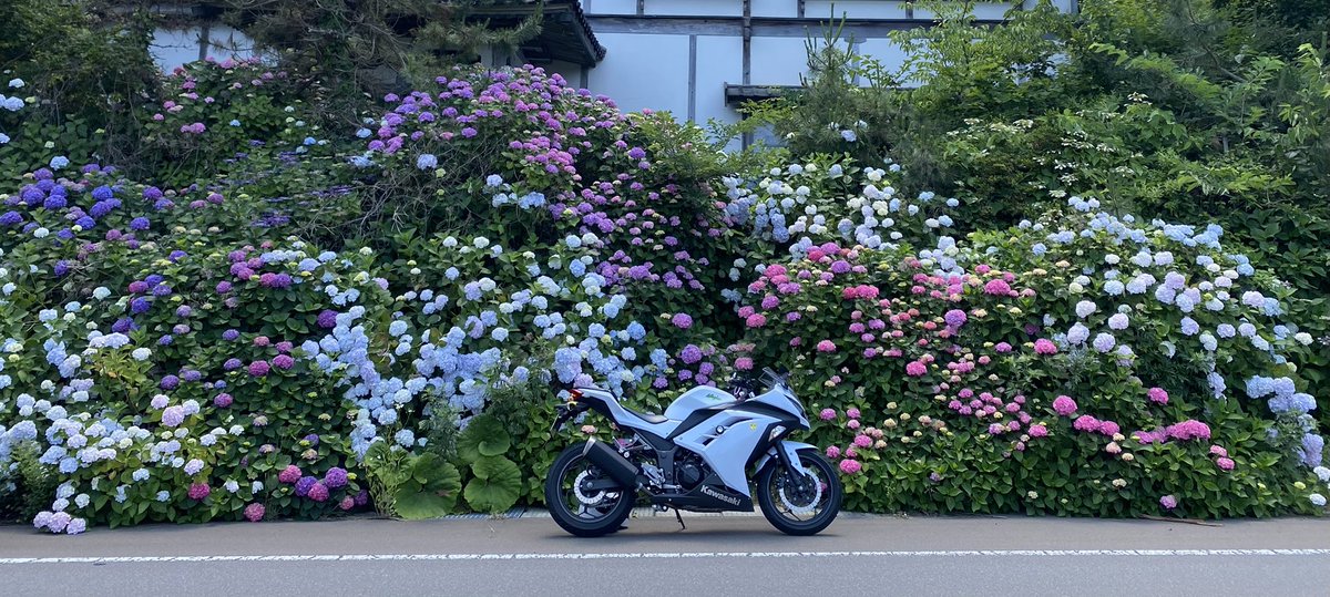 MOGU楽のみっぴー tweet media