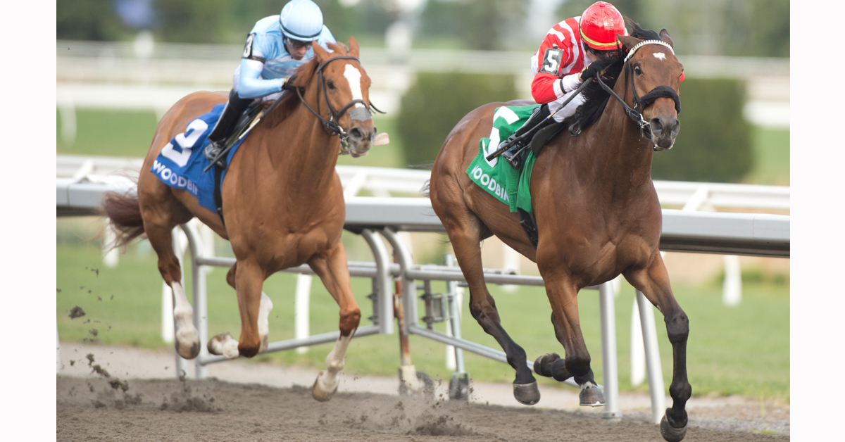 Canadian Thoroughbred (@canadiantbred) on Twitter photo Schickedanz, Drexler and Flores Take Two Graded Stakes
The eight-year-old Old Chestnut won the #JacquesCartierStakes in a three-horse field, while Classic Mo Town flew in the #EclipseStakes. #horseracing <a href="/WoodbineTB/">Woodbine Racetrack</a>
canadianthoroughbred.com/horse-news/sch… Schickedanz, Drexler and Flores Take Two Graded Stakes
The eight-year-old Old Chestnut won the #JacquesCartierStakes in a three-horse field, while Classic Mo Town flew in the #EclipseStakes. #horseracing <a href="/WoodbineTB/">Woodbine Racetrack</a>
canadianthoroughbred.com/horse-news/sch…