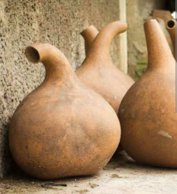 TimoGodsgiven's tweet image. Fresh calabash, green and tender, begins as a simple fruit but holds deep cultural promise. As it dries and hardens, it transforms into a valuable tool—used for carrying water, storing food, making music, and performing rituals.
#LangoUnveiled