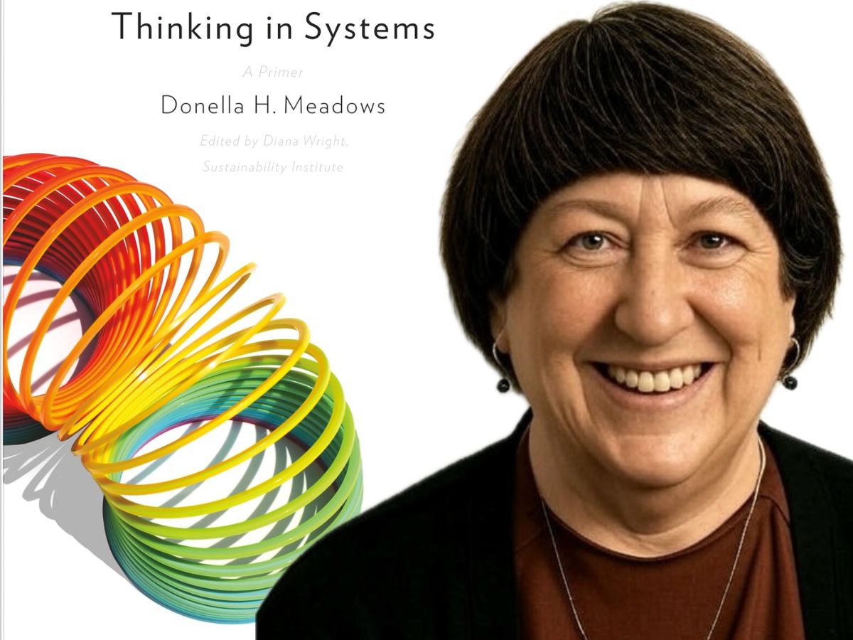 AnilNathoo's tweet photo. Thinking in Systems: A Comprehensive Guide to Complex Systems - 1 Hour Guide https://t.co/U5V49v7U24 https://t.co/rBf8sNOCVH