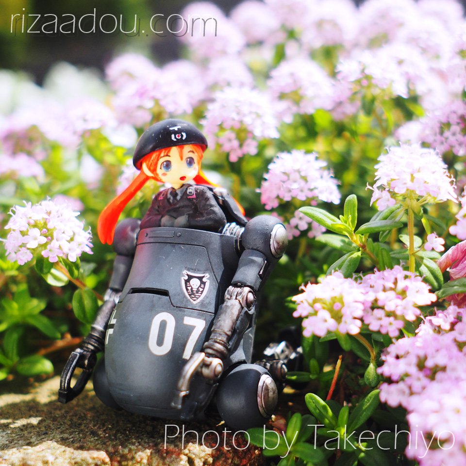 rizaadou's tweet photo. 【Girl,You really got me now】
ベレー帽タイプの #ドイツ軍 汎用 #戦車兵
一号から四号戦車用です
撮影や展示にはウィーゴが楽でいい
何よりウィーゴだと輸送の荷量が減るのはありがたい、背景と合わせ易いし◎
#ミリタリーフィギュア
#militaryfigure
#werhmacht
#ResinKitFigure
#WW2 https://t.co/6GnkP07xjO