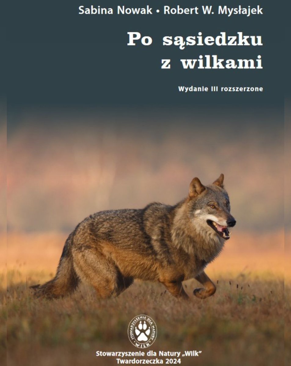 PracowniaBystra's tweet photo. Stop nagonce na #wilki i dezinformacji.
Osłabienie ochrony wilków nie jest rozwiązaniem problemów na linii #wilki-ludzie.
✅ Wiedza o wilkach poparta 3 dekadami badań i doświadczeń @RobertMyslajek  
Publikacja do pobrania tutaj: 📂 https://t.co/YBBCbgurbQ https://t.co/mqvV5awcnY