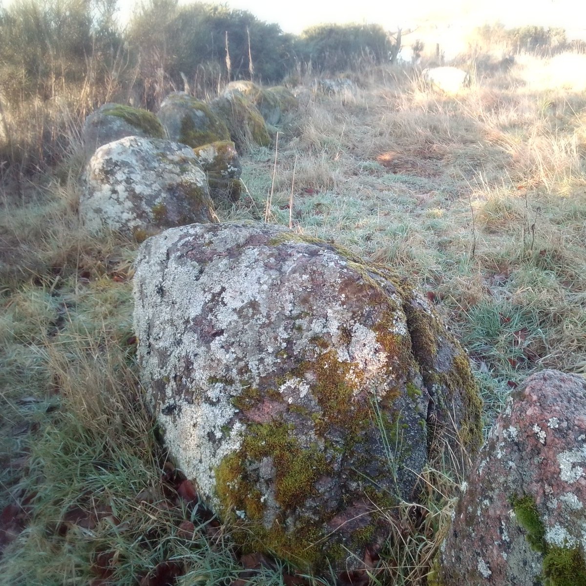#Moyness stone circle - remote and atmospheric 

#StandingStoneSunday