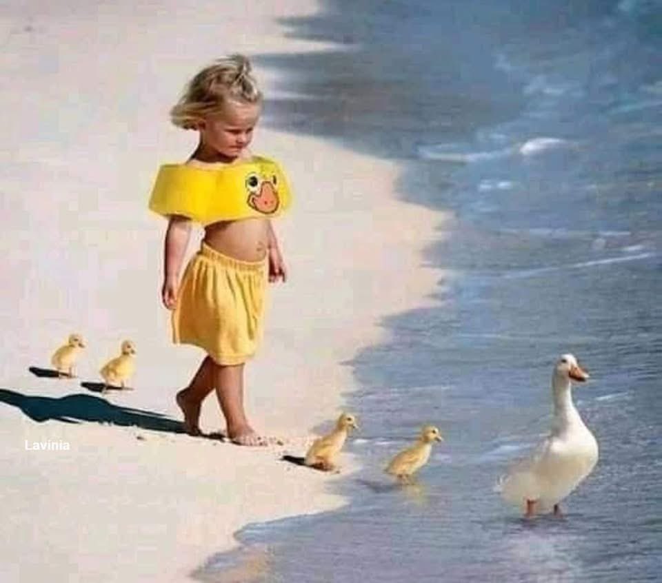 Dostluk şarkısı mırıldansın dünya,
Güneş heybesinde mutluluklar getirsin.
Merhaba derken yeni bir güne, 
Uzaklarda kalsın üzgün yüzler, umutsuz düşler.
Bugün günlerden güzellik olsun…

Seçil Oğuz

Günaydın dostlar