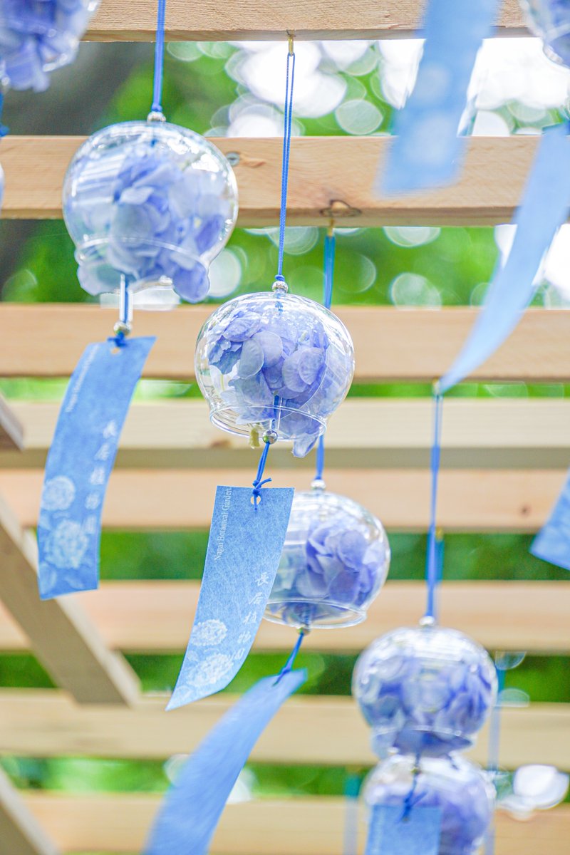 初夏を感じる。