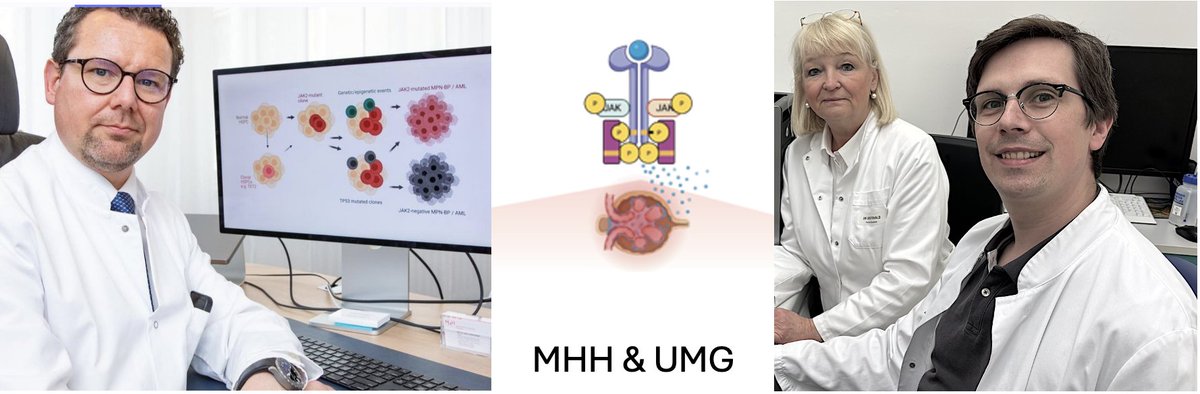 Prof Dr. rer. nat. Nicole Endlich (@endlichnicole) on Twitter photo Dr. Florian Siegerist – formerly PhD student and postdoc in my group, now clinician scientist – will present our collaborative project with Prof. Florian Heidel and PD Tina Schnöder at the <a href="/ERAkidney/">ERA - European Renal Association</a> Meeting next week.
🔹 Title: Mesangial cell injury-aggravated CKD in Dr. Florian Siegerist – formerly PhD student and postdoc in my group, now clinician scientist – will present our collaborative project with Prof. Florian Heidel and PD Tina Schnöder at the <a href="/ERAkidney/">ERA - European Renal Association</a> Meeting next week.
🔹 Title: Mesangial cell injury-aggravated CKD in