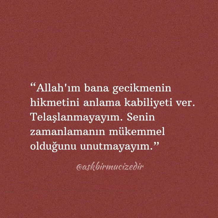 Monna Rosa (@ayaserenat) on Twitter photo 