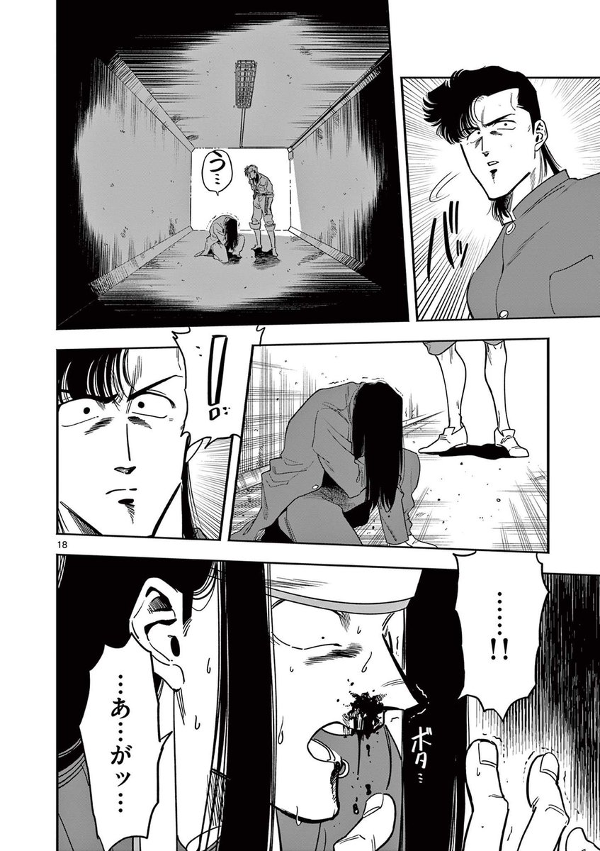 (5/5) 