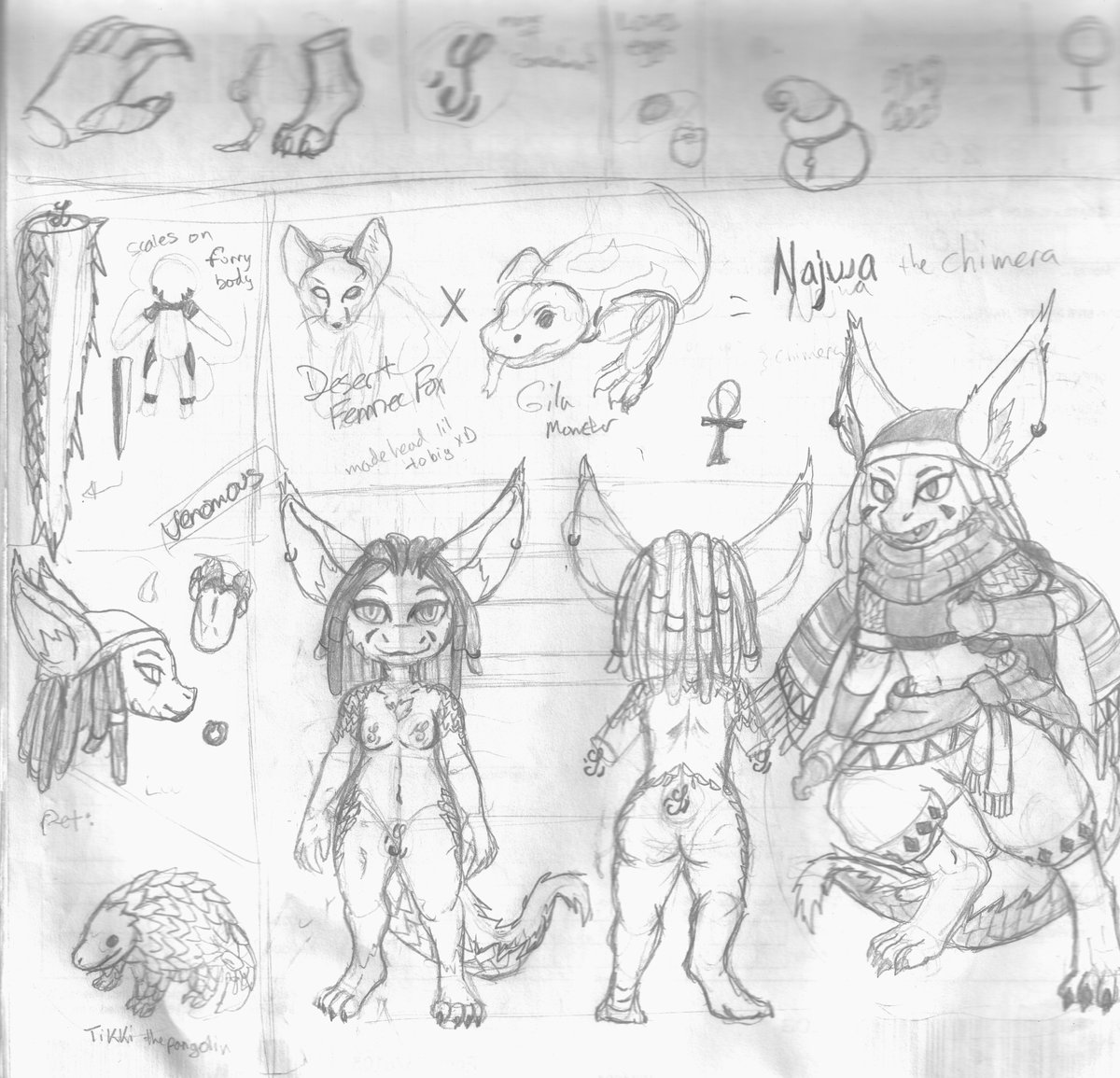 Spider269's tweet image. New character: Najwa (Desert Fennec x Gilla chimera)- Desert Merchant) Added to my list of OCs #doodle #characterdesign #shortstack