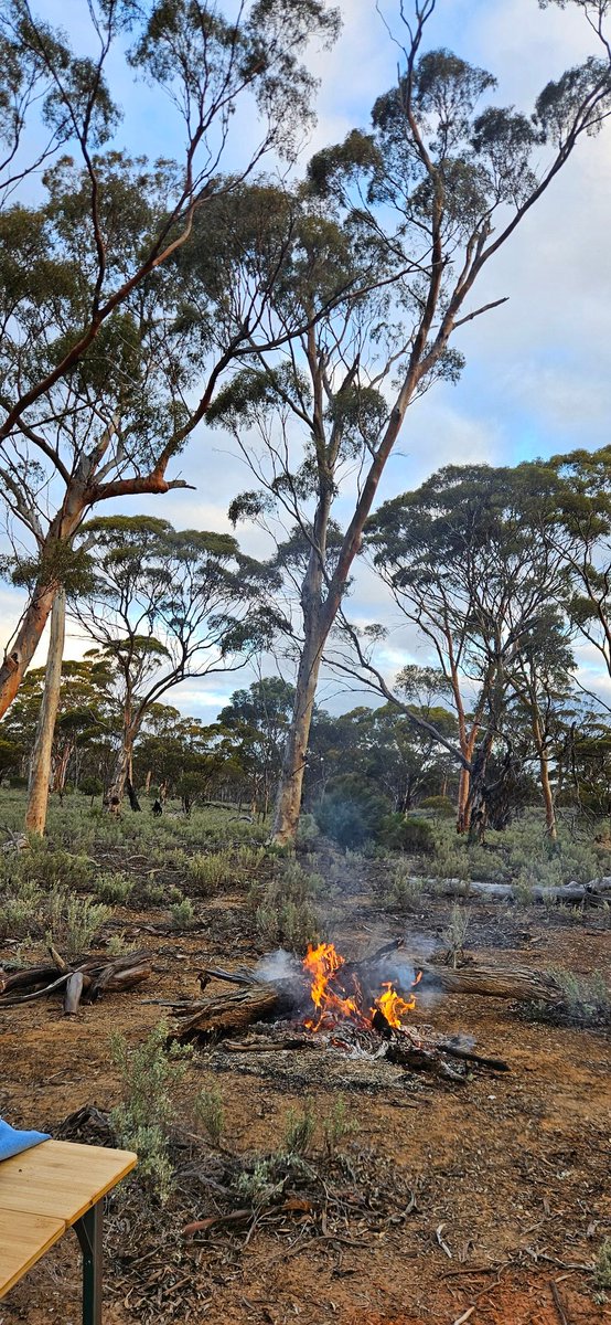 When we first arrived in Esperance and settled in the back of beyond and were clearing the country days off, were few and far between and when we did have a break, Dad would invariably take us even further bush!  I couldn't quite understand it.  50 years later, where am I? 🤷🏼‍♂️