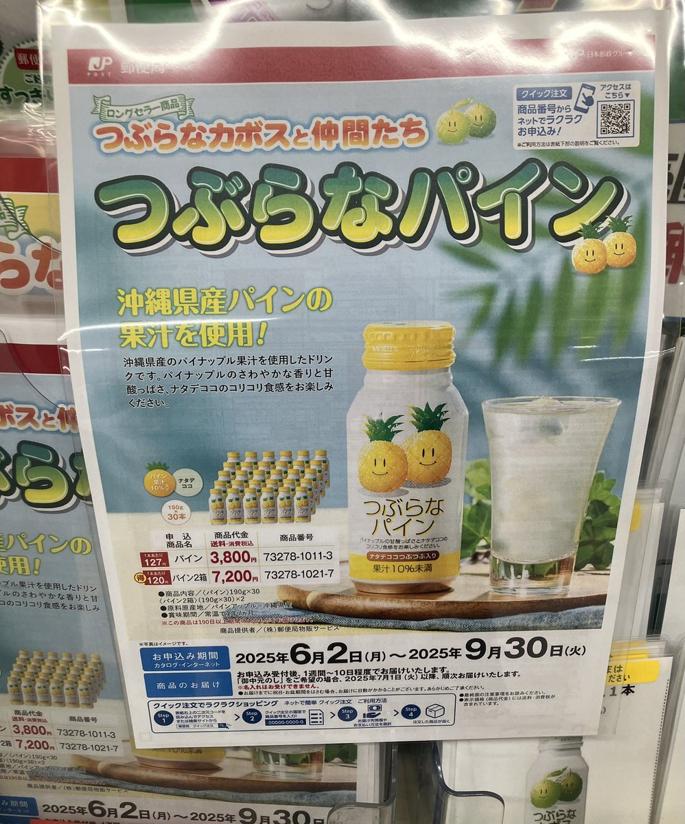 断捨離パイナップル 2個 断捨離パイナップル 2個 断捨離パイナップル