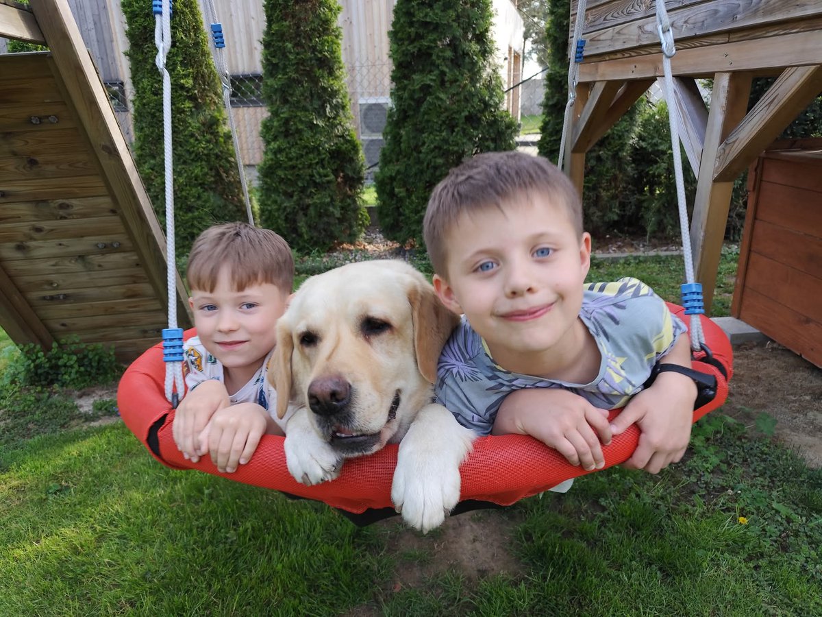 Adam Mazguła tweet media