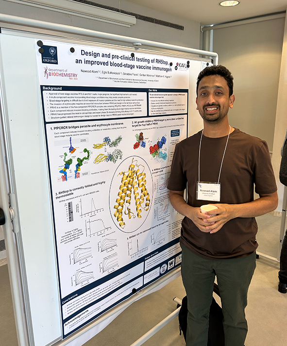 Matt Higgins (@parasitematt) on Twitter photo <a href="/nawsad_alam/">Nawsad Alam</a> presented our structure-guided design of RH5top, our latest blood stage-malaria vaccine immunogen in talk and poster at the Malaria Gordon conference. The culmination of many studies from the lab and doing well in pre-clinical testing! More soon. <a href="/nawsad_alam/">Nawsad Alam</a> presented our structure-guided design of RH5top, our latest blood stage-malaria vaccine immunogen in talk and poster at the Malaria Gordon conference. The culmination of many studies from the lab and doing well in pre-clinical testing! More soon.