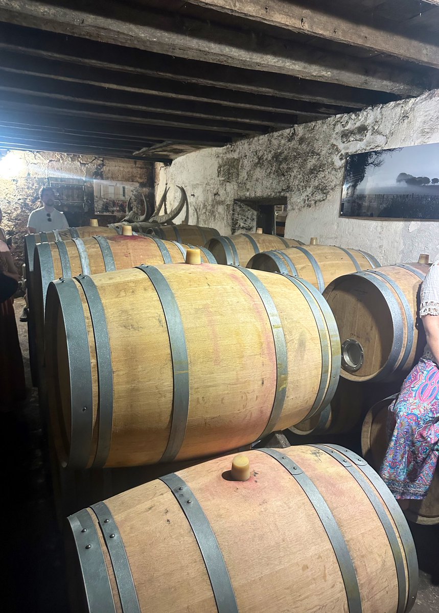 free_style_chef's tweet image. 📍Grand Coutet winery in Saint-Émilion, a 14th generation family winery.

We got a lovely tour, learned the process of wine making, &amp;amp; tasted delicious wines.

One was named ‘single ladies’ after three women in the family who take care of the winery.

#winetasting #wine #winery
