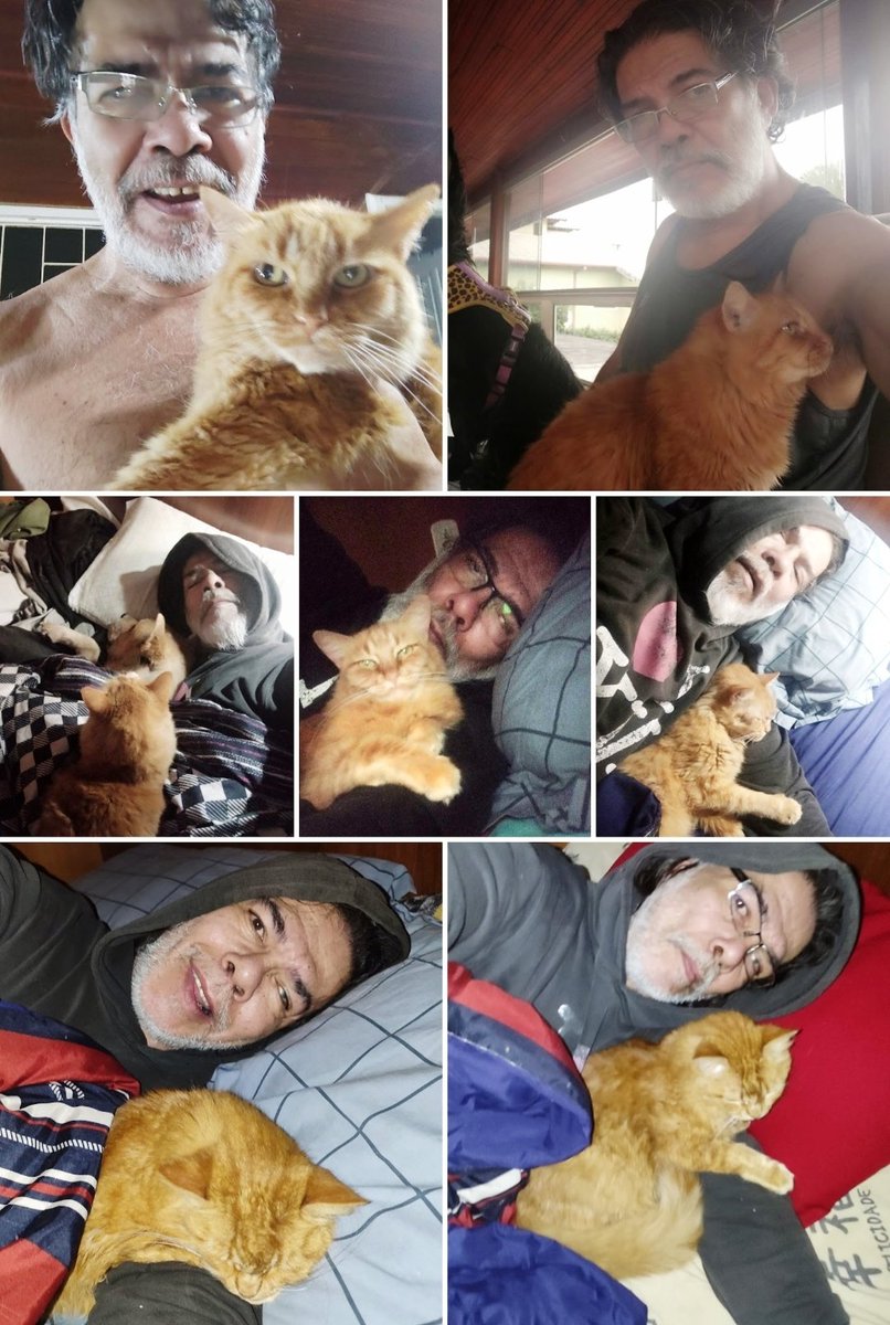 DFProfessor's tweet image. Maio se foi e levou a minha Yuly‼️Foram 5 anos de convivência, com muitas traquinagens, adorava uma caixa, dormia no meu braço, pulava na cama e amassava pão...  Vou acreditar que foi livramento e como diz Rayanne ela foi para o Céu dos bichos‼️Muito triste e chateado‼️😭🥲