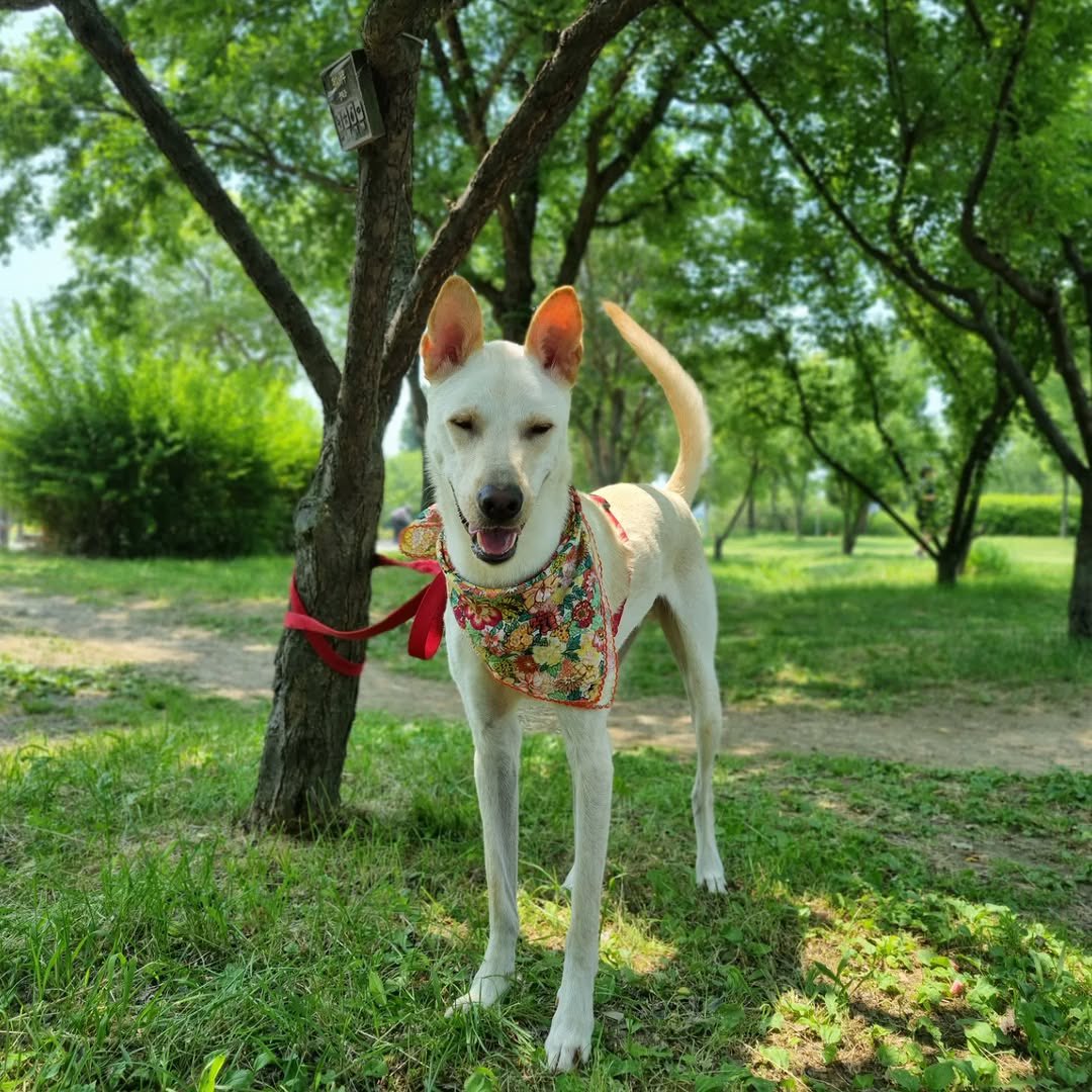 주말 좋다, 언니랑 네몽이 사진도 올라오고 🐕