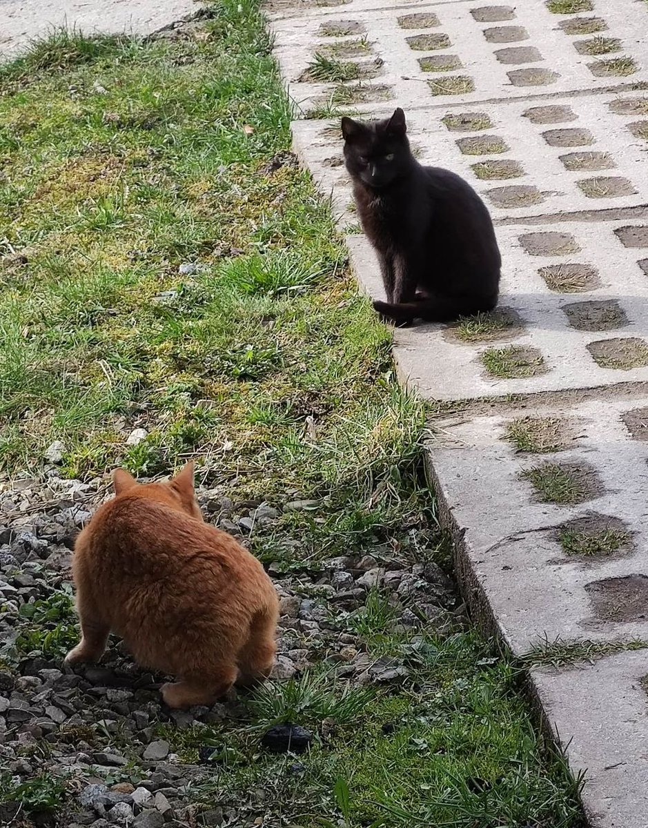 Bambik, moja skóra jest totalnie sucha i się łuszczy.
- To Luna przecież normalne u żmij.