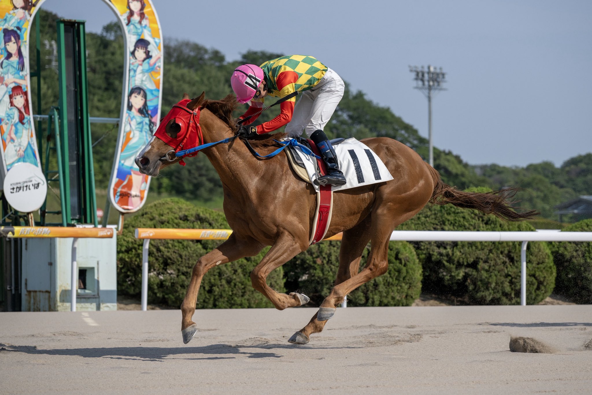 さがけいば（佐賀競馬場） on X: 