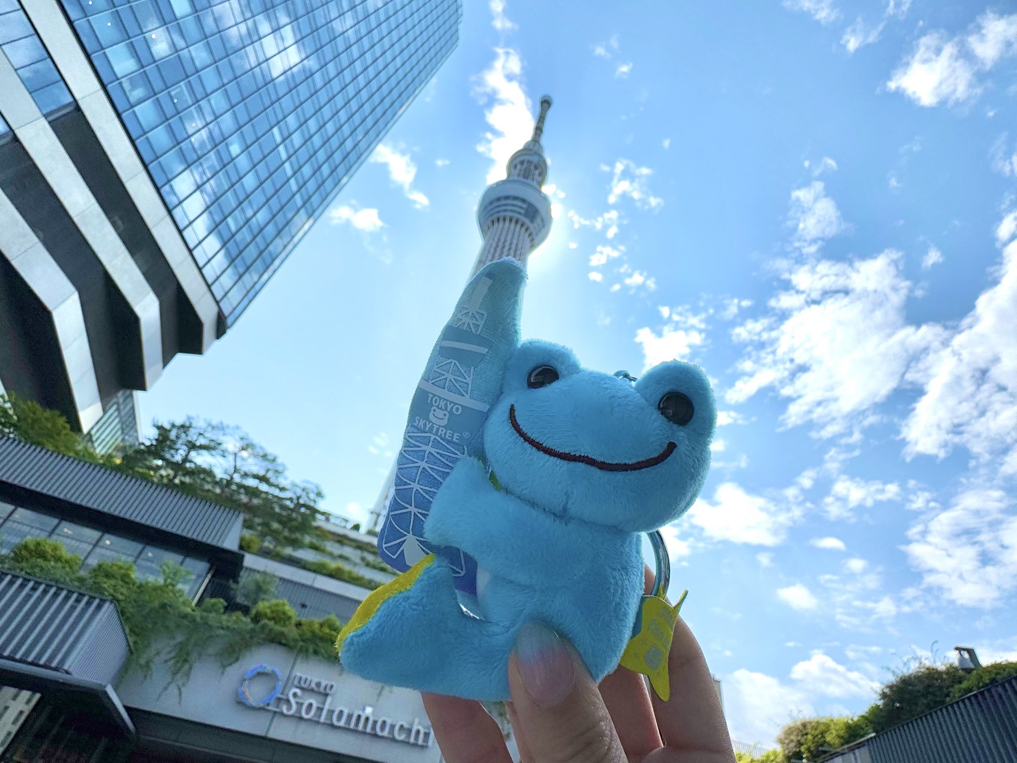 かえるのピクルス 東京ソラマチ ポップアップ 限定マスコット