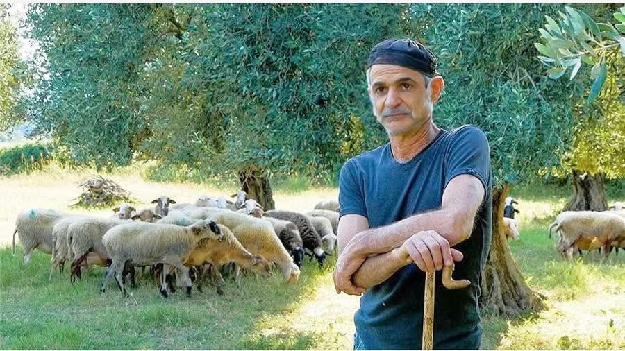 stalinopoulos's tweet photo. Κτηνοτρόφος παίρνει επιδότηση για εκατομμύρια πρόβατα που τον ψηφίζουν
#ΟΠΕΚΕΠΕ https://t.co/pTDBbkG2nt