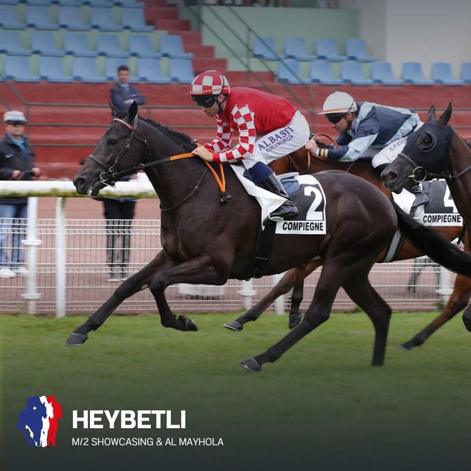 Kahraman Ekürisi (@kahramanekurisi) on Twitter photo The Qatar Prix du Jockey Club! Today, our brave Heybetli will line up with number 8, ridden by
@picconetony
, to proudly represent our colors in this great classic French. The whole team is proud to see him take part in this prestigious race for Mr. Fedai Kahraman <a href="/francegalop/">France Galop</a> The Qatar Prix du Jockey Club! Today, our brave Heybetli will line up with number 8, ridden by
@picconetony
, to proudly represent our colors in this great classic French. The whole team is proud to see him take part in this prestigious race for Mr. Fedai Kahraman <a href="/francegalop/">France Galop</a>