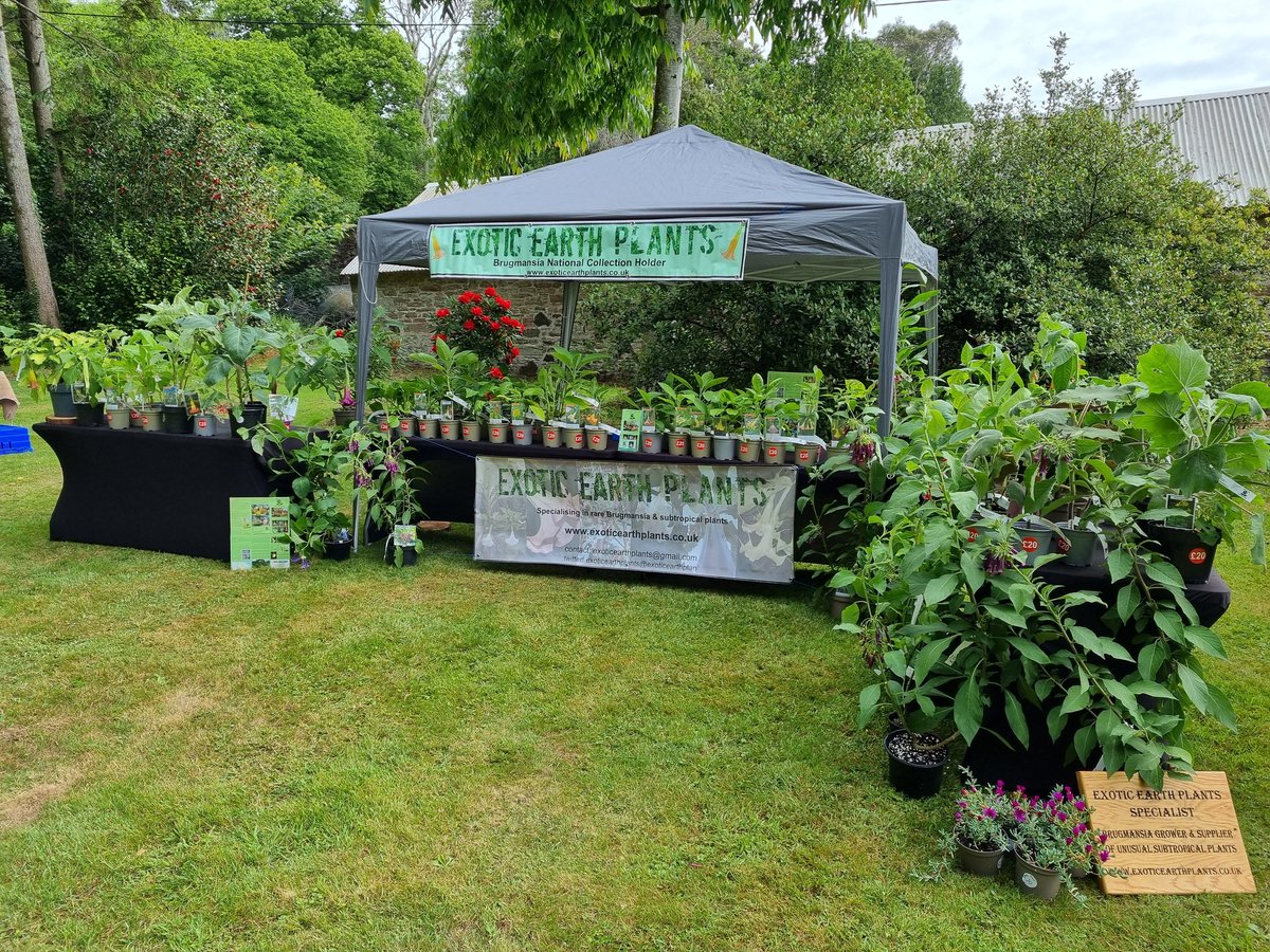 Tregrehen Rare Plant fair today, 10am to 3pm
