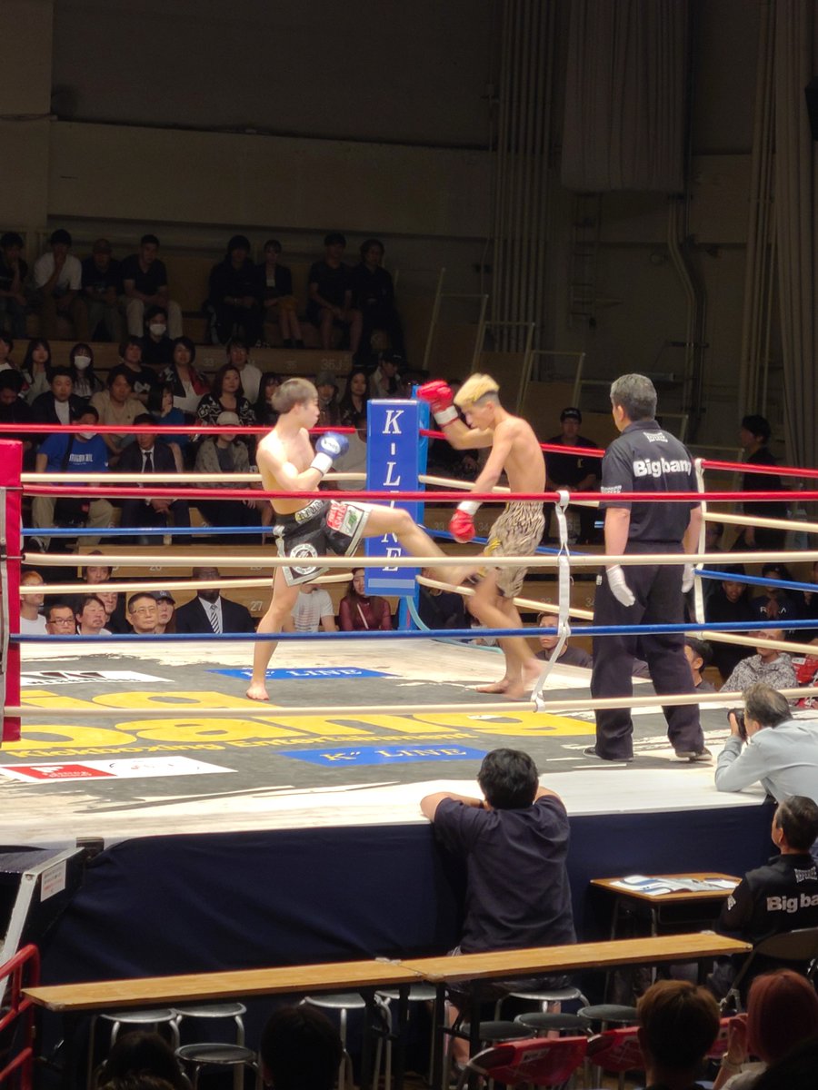 サーバル tweet media