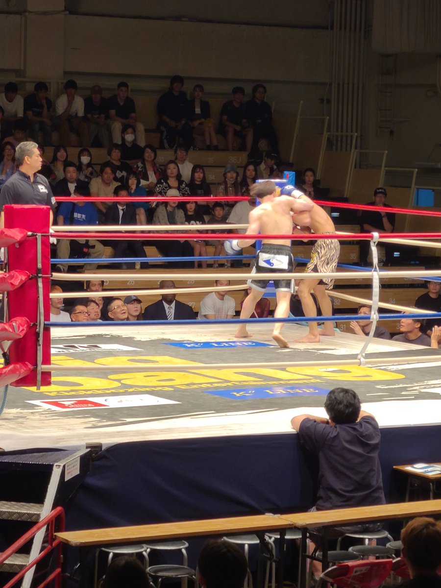 サーバル tweet media