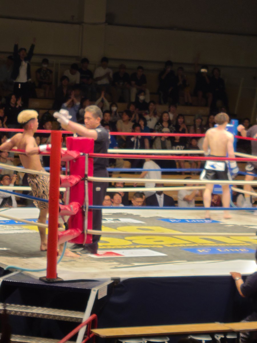 サーバル tweet media