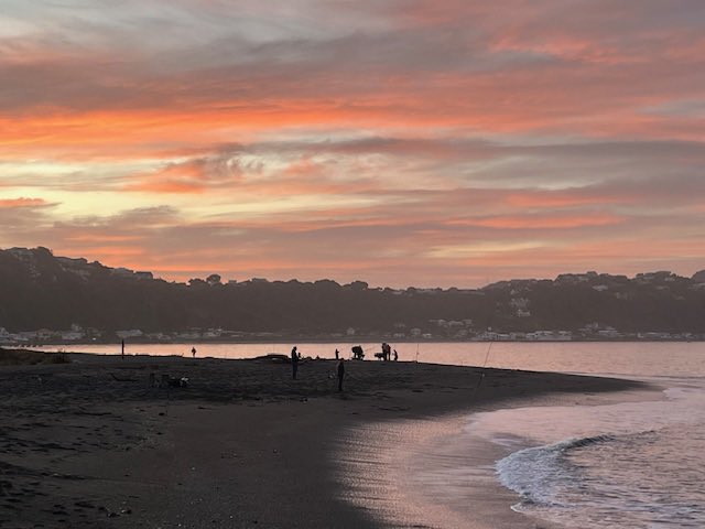 Enjoyed the beautiful sunset over Wellington tonight, together with some dog walkers and people fishing. <a href="/Wellingtonnz/">WellingtonNZ</a> <a href="/WildBayNZ/">Wildbaynz 🌻🌼🌺</a>